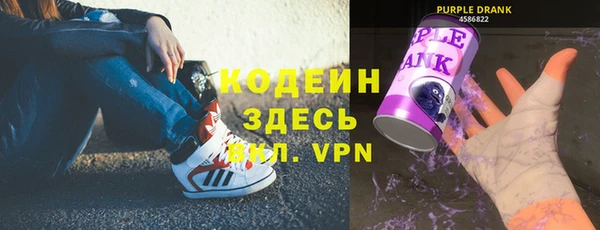хмурый Белокуриха