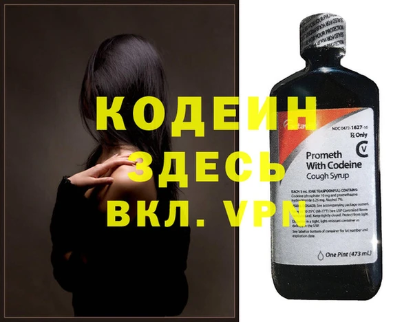 хмурый Белокуриха