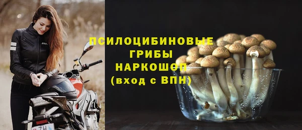 первитин Белоозёрский