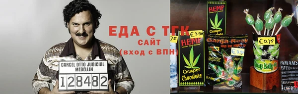 хмурый Белокуриха