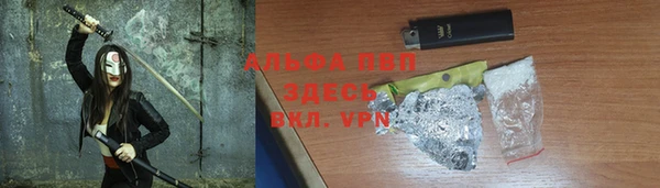 шишки Беломорск