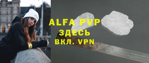 хмурый Белокуриха