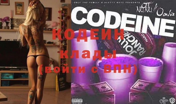 шишки Беломорск