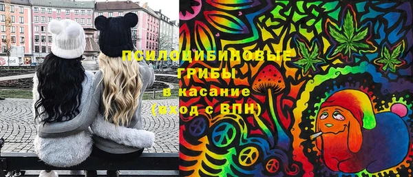 шишки Беломорск