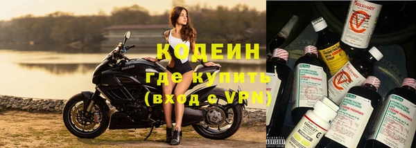 хмурый Белокуриха