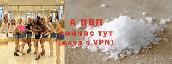 хмурый Белокуриха