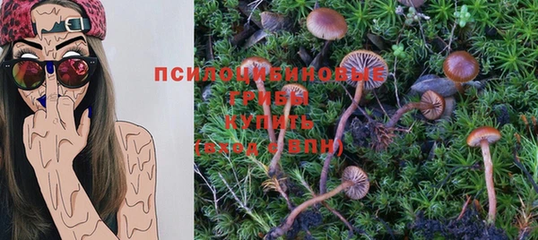 первитин Белоозёрский