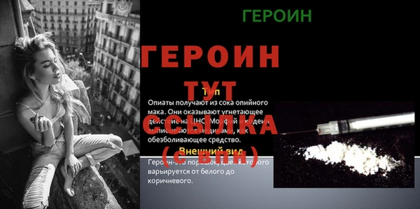шишки Беломорск