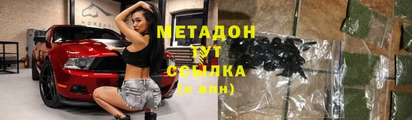 хмурый Белокуриха