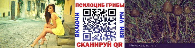 darknet наркотические препараты  Вельск  Галлюциногенные грибы Magic Shrooms  купить  